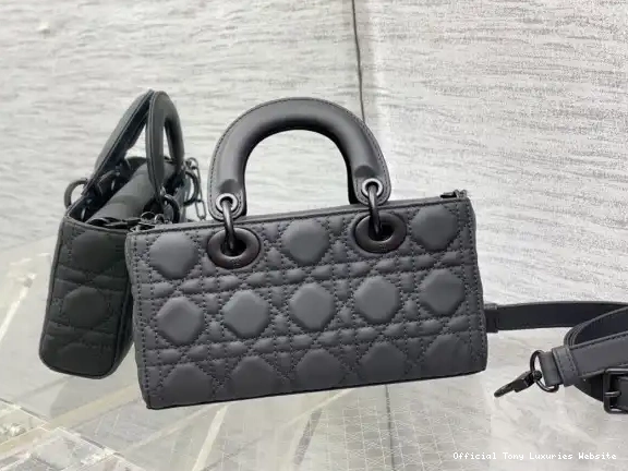 Tony Luxuries LADY BAG-22*12*6CM diro D-JOY 0407